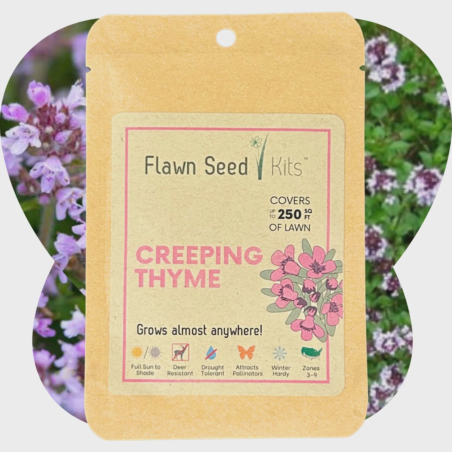 Bee Lawn Single Species Seed - Thymus serpyllum Creeping Thyme - 250 sqft (L2L)