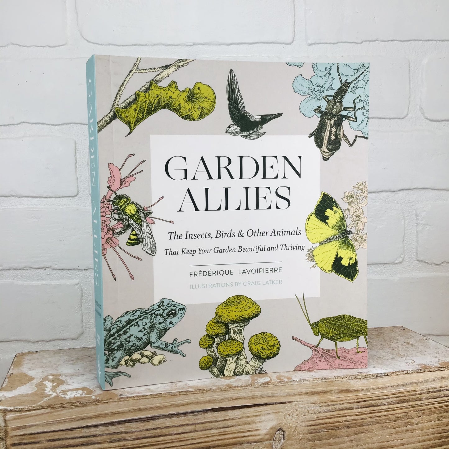 Garden Allies