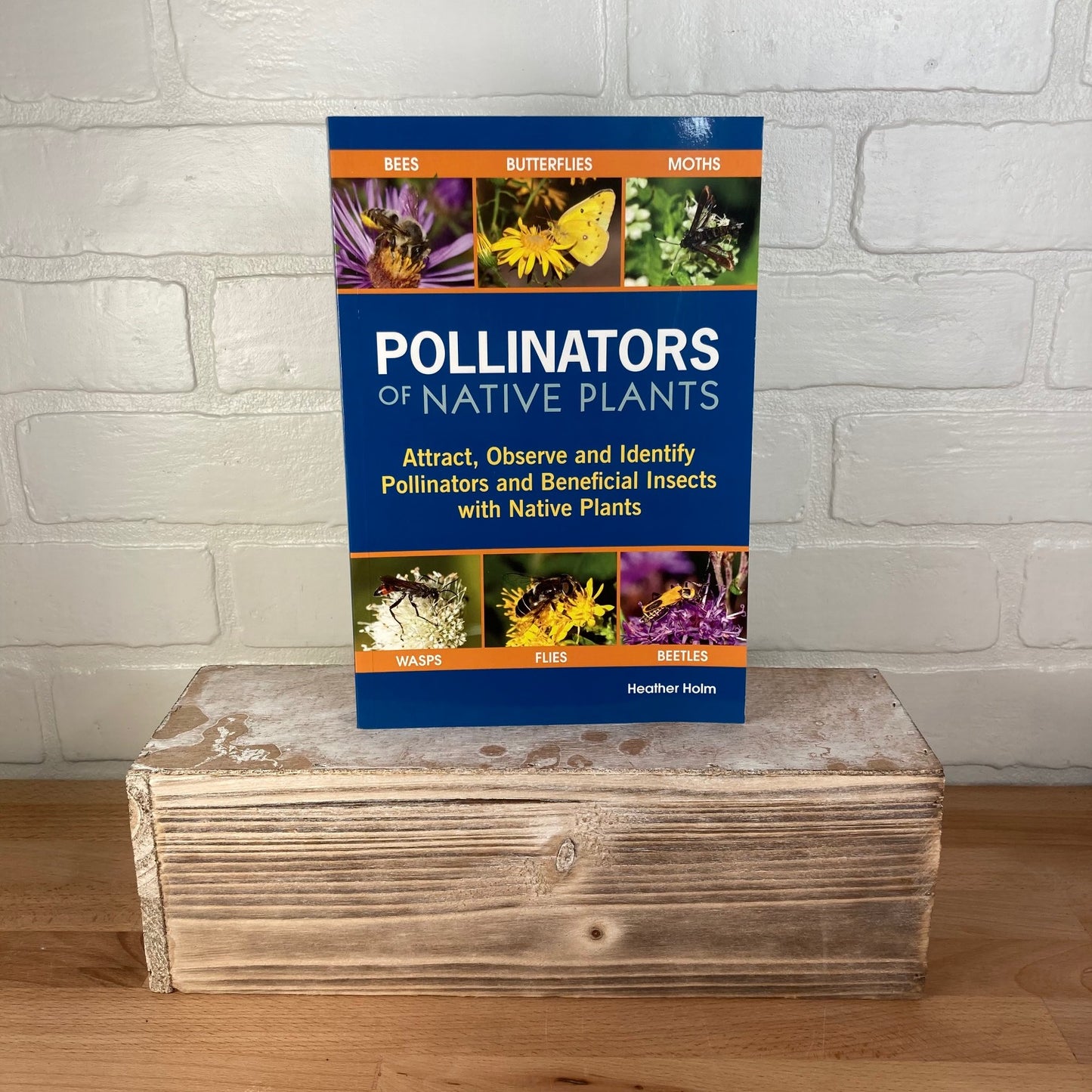 Pollinators of Native Plants - Heather Holm