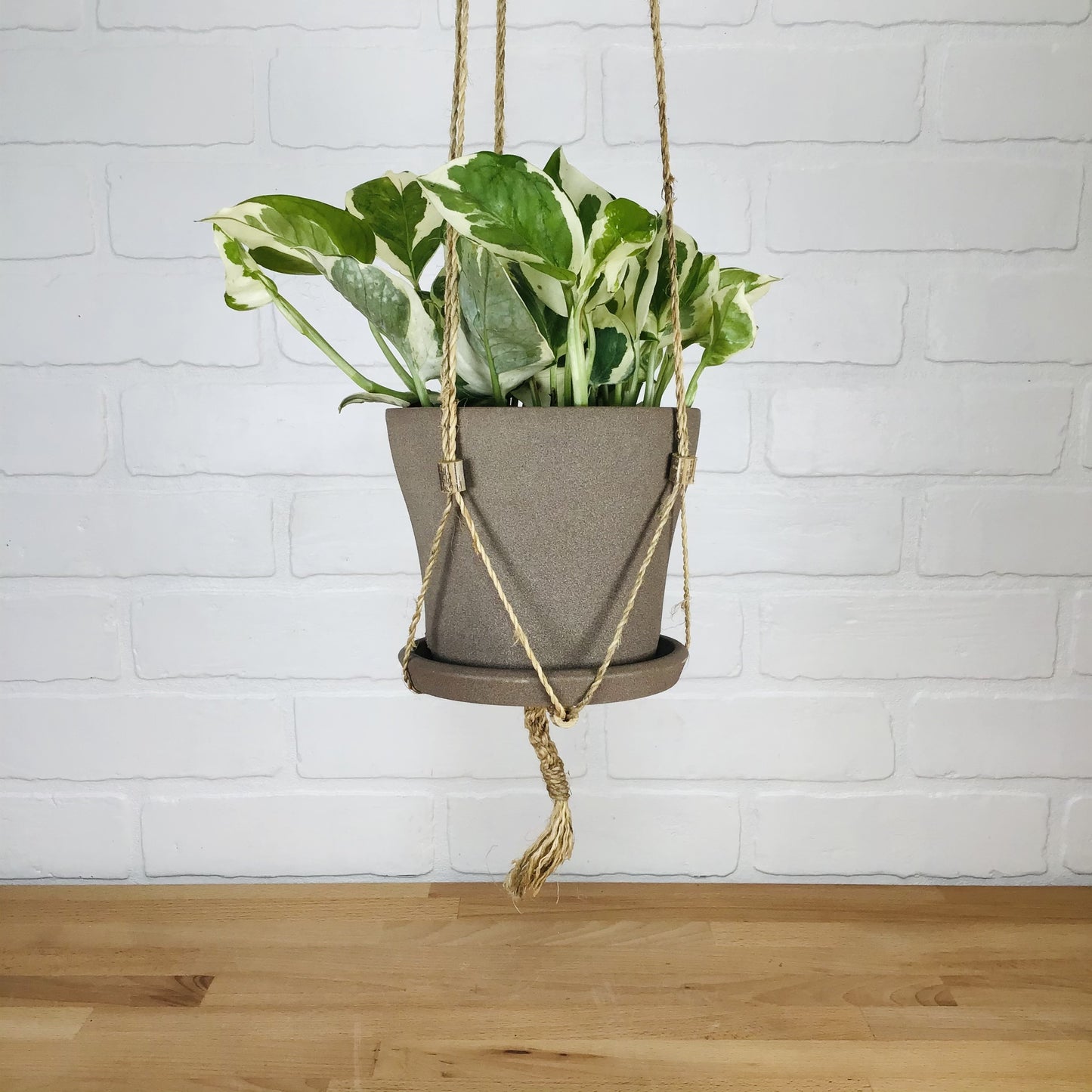 Korway Macrame Plant Hanger