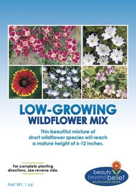 Flower Mix 'Low Growing Wildflowers' - Beauty Beyond Belief - 1oz