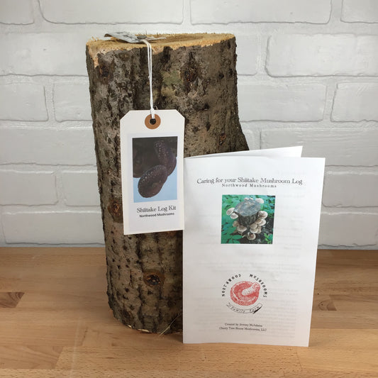 Mushroom Log Kit - Shiitake