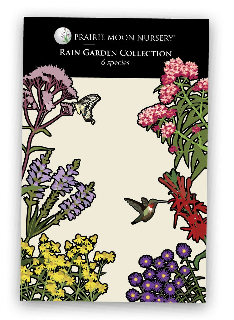 Native Seed Collection - Rain Garden Packet - Prairie Moon Nursery (L2L)