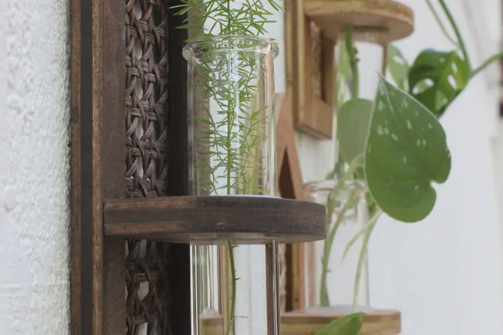 Dunn Rustic Propagation Planter - Rattan