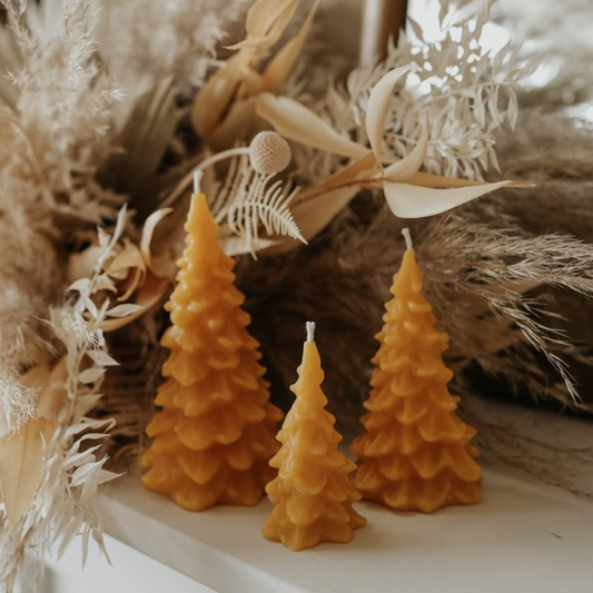 Slow Burn Beeswax Candles - Seasonal - Northwoods Evergreens