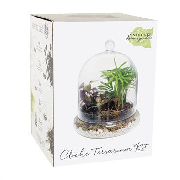 Glass Terrarium Kits