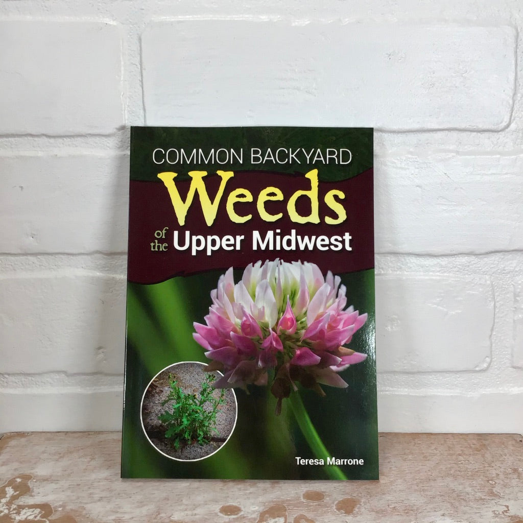 Common Backyard Weeds of the Upper Midwest Field Guide - Teresa Marrone