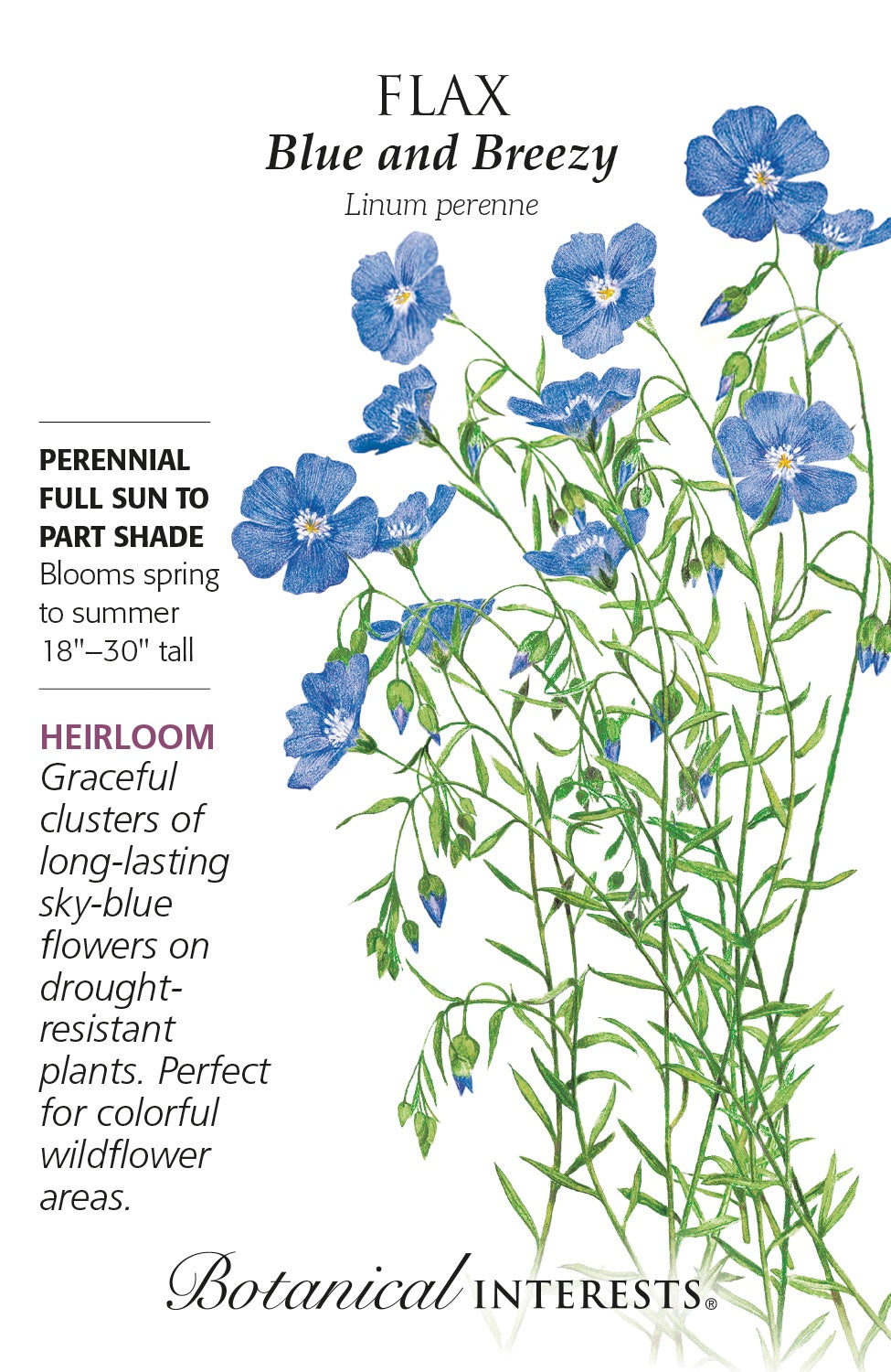 Flax 'Blue and Breezy' - Botanical Interests®