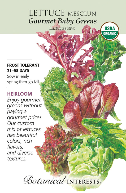 Seeds | Lettuce - Mesclun 'Gourmet Baby Greens' - Botanical Interests® - Organic