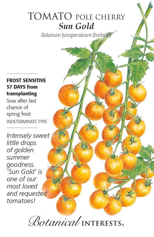 Tomato (Pole) Cherry 'Sun Gold' - Botanical Interests® - Hybrid