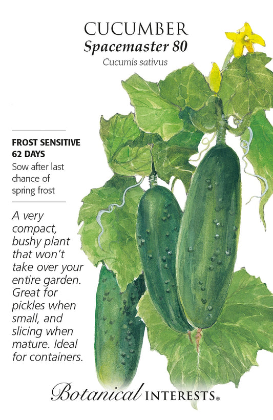 Cucumber 'Spacemaster' - Botanical Interests®