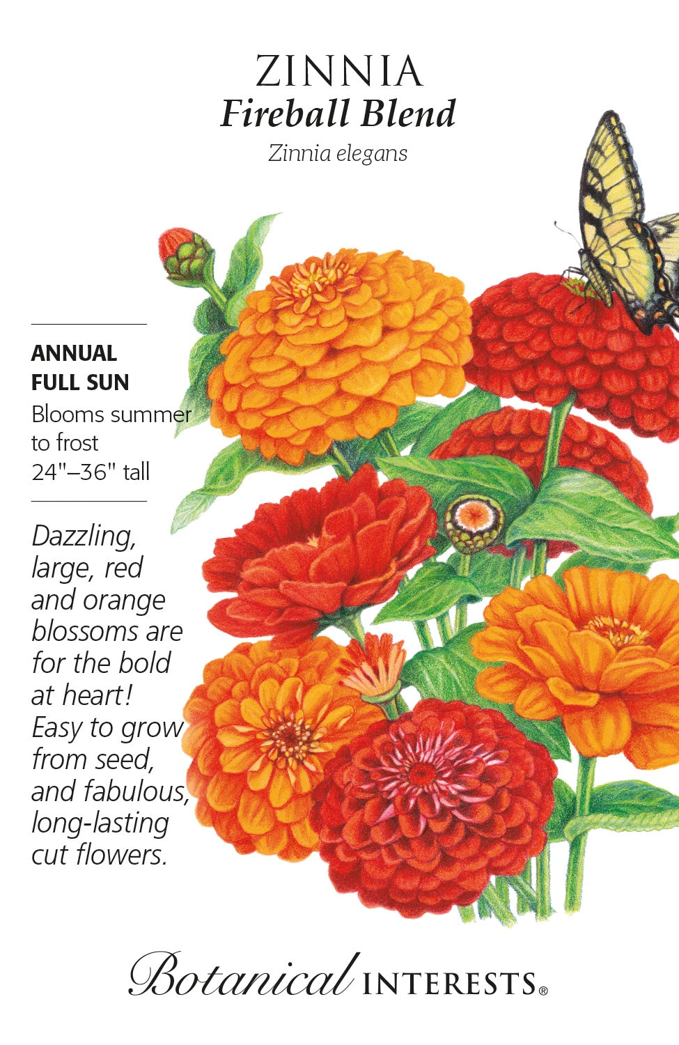 Zinnia 'Fireball Blend' - Botanical Interests®