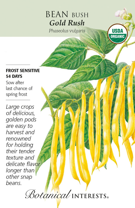Bean (Bush) 'Gold Rush' - Botanical Interests® - Organic