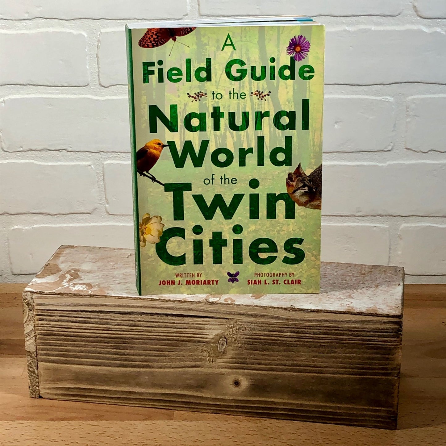 A Field Guide to the Natural World of the Twin Cities - John J. Moriarty