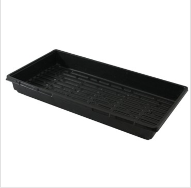 Seed Starting Tray Double Thick 10x20x2