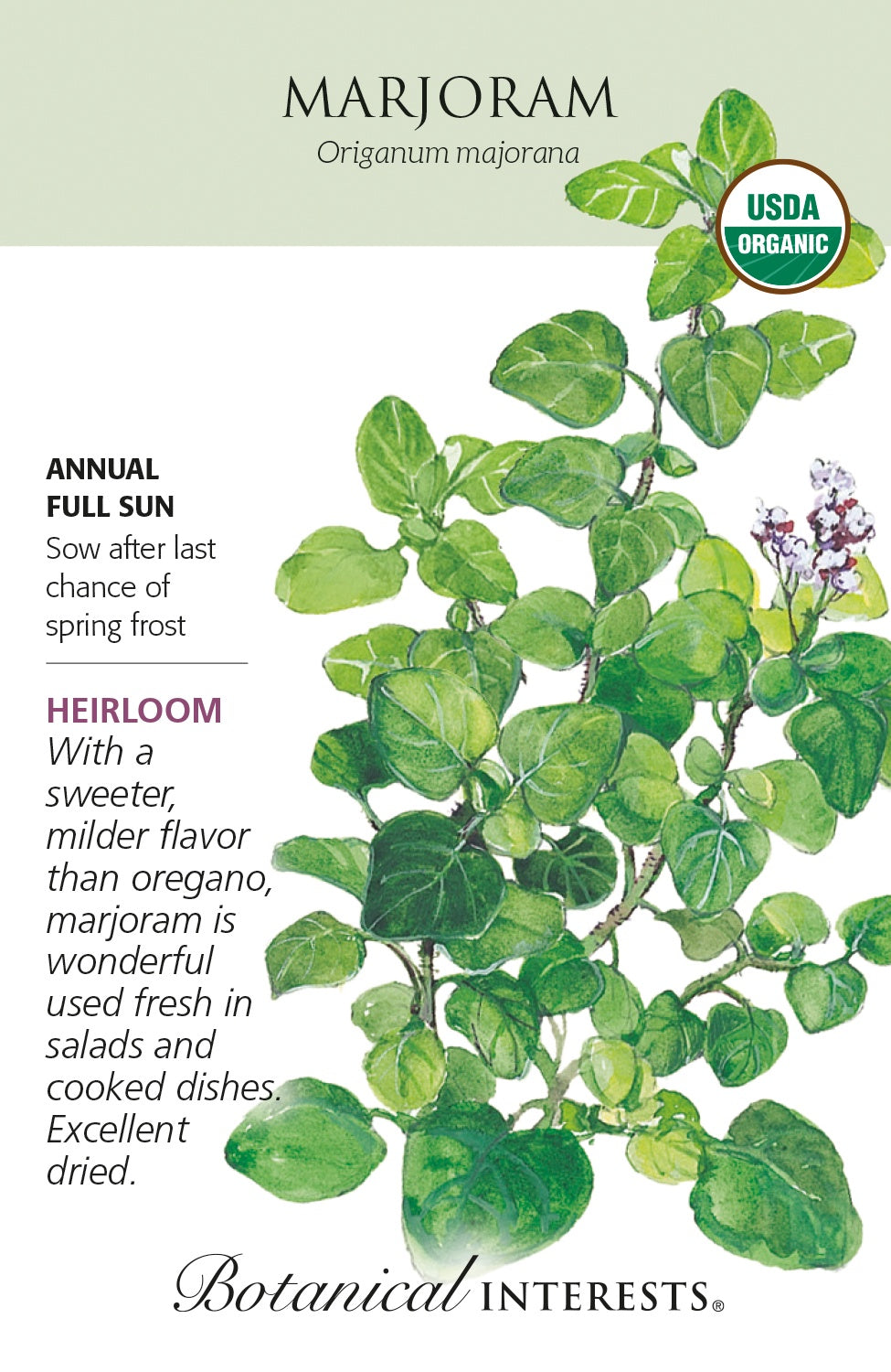 Seeds | Marjoram - Botanical Interests® - Organic
