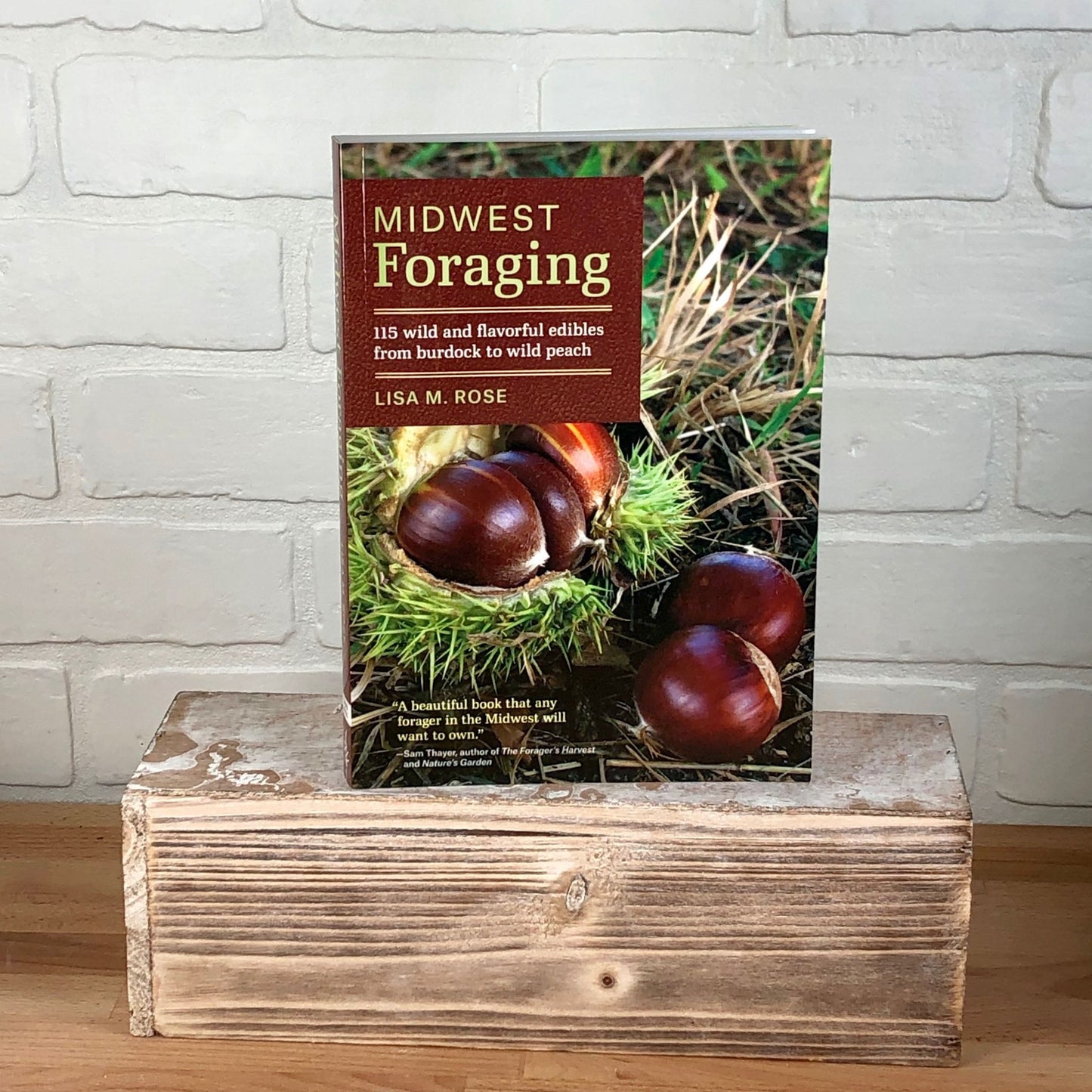 Midwest Foraging - Lisa M. Rose