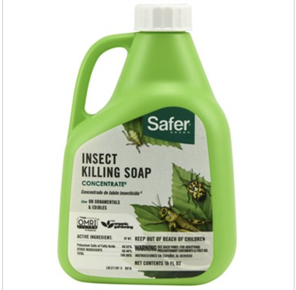 Safer - Insect Killing Soap Concentrate 16oz