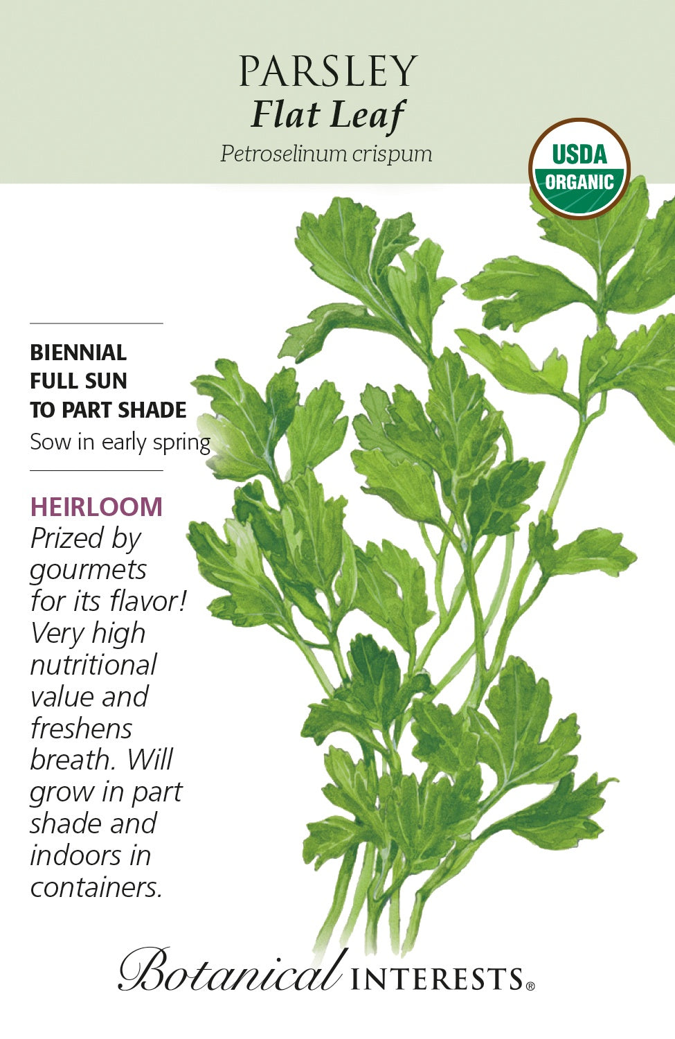 Parsley 'Flat Leaf' - Botanical Interests® - Organic