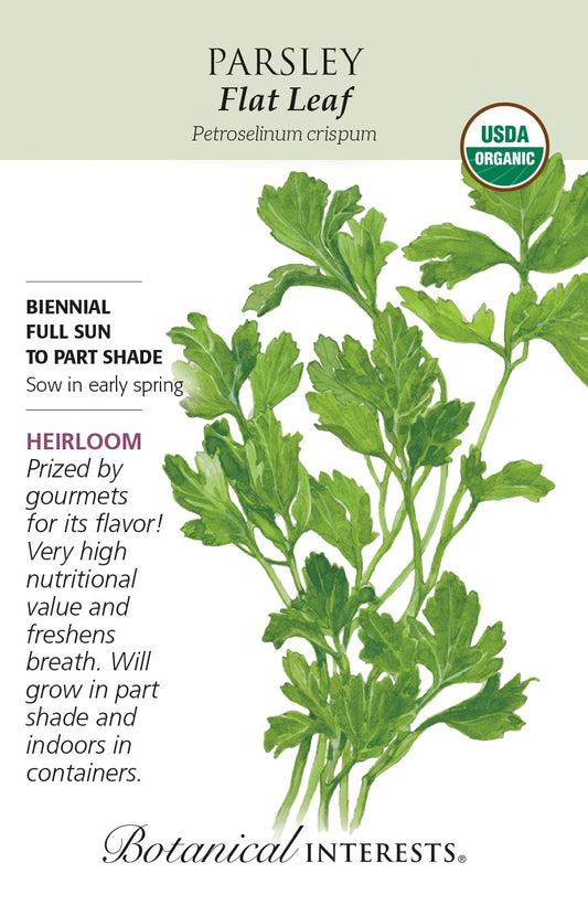 Parsley 'Flat Leaf' - Botanical Interests® - Organic