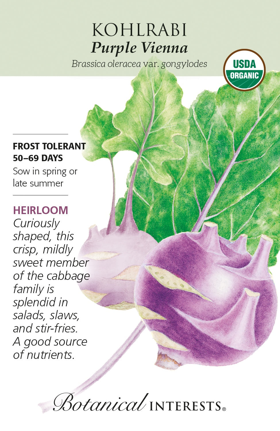 Kohlrabi 'Purple Vienna' - Botanical Interests® - Organic