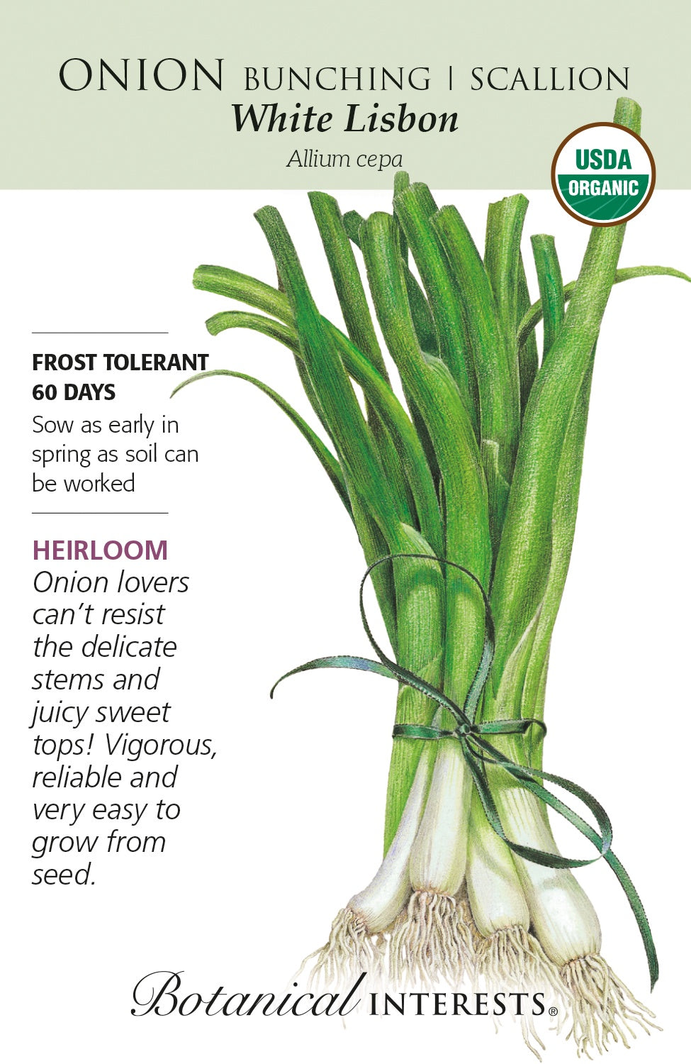 Onion (Bunching/Scallion) 'White Lisbon' - Botanical Interests® - Organic